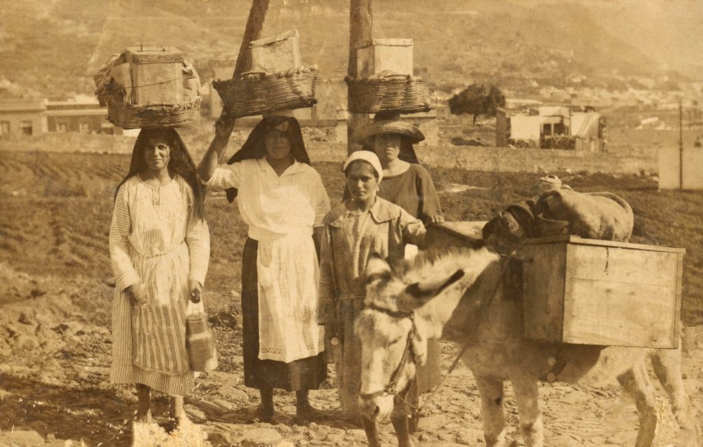 Gangocheras